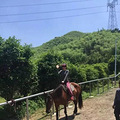 ?莫干山沈园MoGan Syuan，一座以探险主题的户外乐园_5