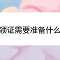 ֤Ҫ׼ʲô