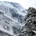 浙江多地迎来2021第一场雪！这个周末，朋友圈全部沸腾了_2