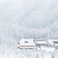 浙江多地迎来2021第一场雪！这个周末，朋友圈全部沸腾了_3