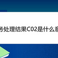 ˰�������C02��ʲô��˼