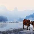 《雪中悍刀行》取景地曝光！原来就是这座颜值开挂的神仙小城_1