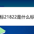 ����21822��ʲô��׼