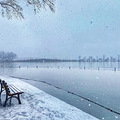 杭州人刷屏的“鹅毛大雪”，到底有多惊艳？_0