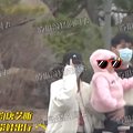 多档综艺节目调整播出时间，关喆三胎得女_5