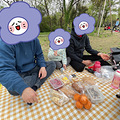 不负好春光，一起去野餐_1