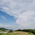 不负好春光，一起去野餐_3