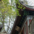 这条登玉皇山的必经的千年古道，居然还藏着杭州唯一一座千佛龛_2