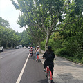 今天杭州天气继续晴好，我们骑着小红车出行了，终点站茅家埠._3