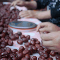 中国水果第一大省，真的被低估太久了_5