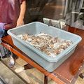6点不到就排队，5分钟内卖光！只有早起的杭州人才吃得到的2元_3