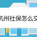 杭州社保怎么交