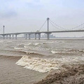 顶着42℃高温也想去！杭州这一幕又火了，明天将迎重要节点！_0