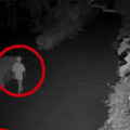 深夜浙江街头，两男子光着膀子一路“尾随”！网友爆赞…_1