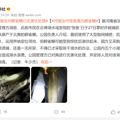 河南2条“怪鱼”已被无害化处理！网上还在卖？｜新闻早餐_4