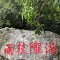 收好这6条西湖赏桂专线，一站式直达更方便