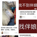 国庆做了4场职业伴娘，赚到半个月工资...