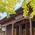 杭州一堵红墙成网红！杭州网友：这个时间拍照最好看…_3