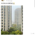 “一觉醒来，窗外白茫茫一片！”杭州发布大雾黄色预警，今晨出门_3