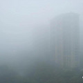 “一觉醒来，窗外白茫茫一片！”杭州发布大雾黄色预警，今晨出门_1