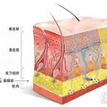 超声刀疼吗，超声刀后会衰老快吗，帮你解决所有疑问~_3