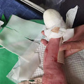 我给老婆孩子拍合影时，把孩子的左腿移出了取景框_2