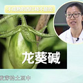 “一天一苹果，医生远离我？”10万人研究发现：吃西红柿才对！_0
