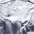 大雪到，多吃它，能帮你提高免疫力，关键家家都有哦！_0