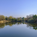 杭州西溪湿地公园邬家湾、洪园景区_1