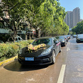 杭州婚车租赁_3