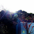 登上吴山_1