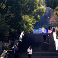 登上吴山_0
