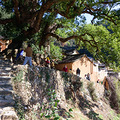 寻找江南的春天day1:松阳探秘—杨家堂村_0