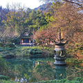 走过高丽寺_0