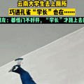 ϴѧġ޵èһՇNɪû졭ͱ˹_1