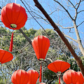第二次去月芽，完全颠覆了我对它的第一印象！_1