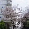 2023杭州市十三中教育集团学区划分范围