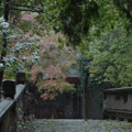 评分9.3的综艺，这一季来杭州！知名杭帮菜馆却拒绝拍摄……_2