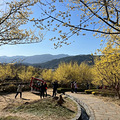 《旅行者》系列—求礼郡到金龟岛_1