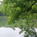 今日浴鹄湾_2