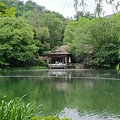 今日浴鹄湾_0