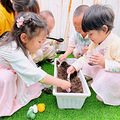 【杭州市示范性托育机构】华媒·一米国托育中心（紫薇园）探园记_3