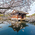 别去西湖边数人头了！往北3公里，这里最近热爆了_0