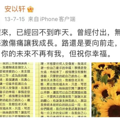 豪门贵妇梦碎，她选择彻底消失。_3