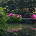 杭州花圃_2