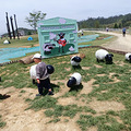 亲子时光_0