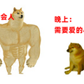 为什么减肥总是一到晚上就崩溃？_5