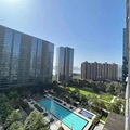 蓝色钱江“保姆纵火案”的房子5折处理？资深中介：99%阳了_1