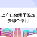 上户口做亲子鉴定去哪个部门