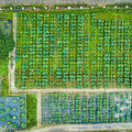 杭州超全赏荷地图，这个荷花秘密基地你知道吗_3